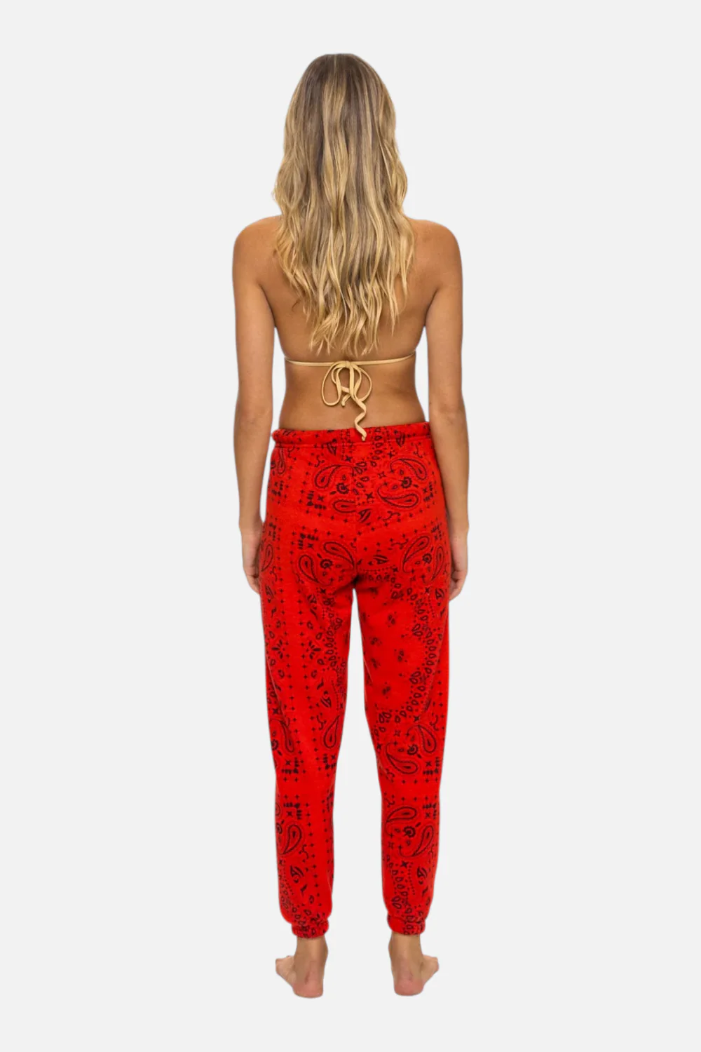 Aviator Nation Bandana Sweatpant in Relax Red - Image 2