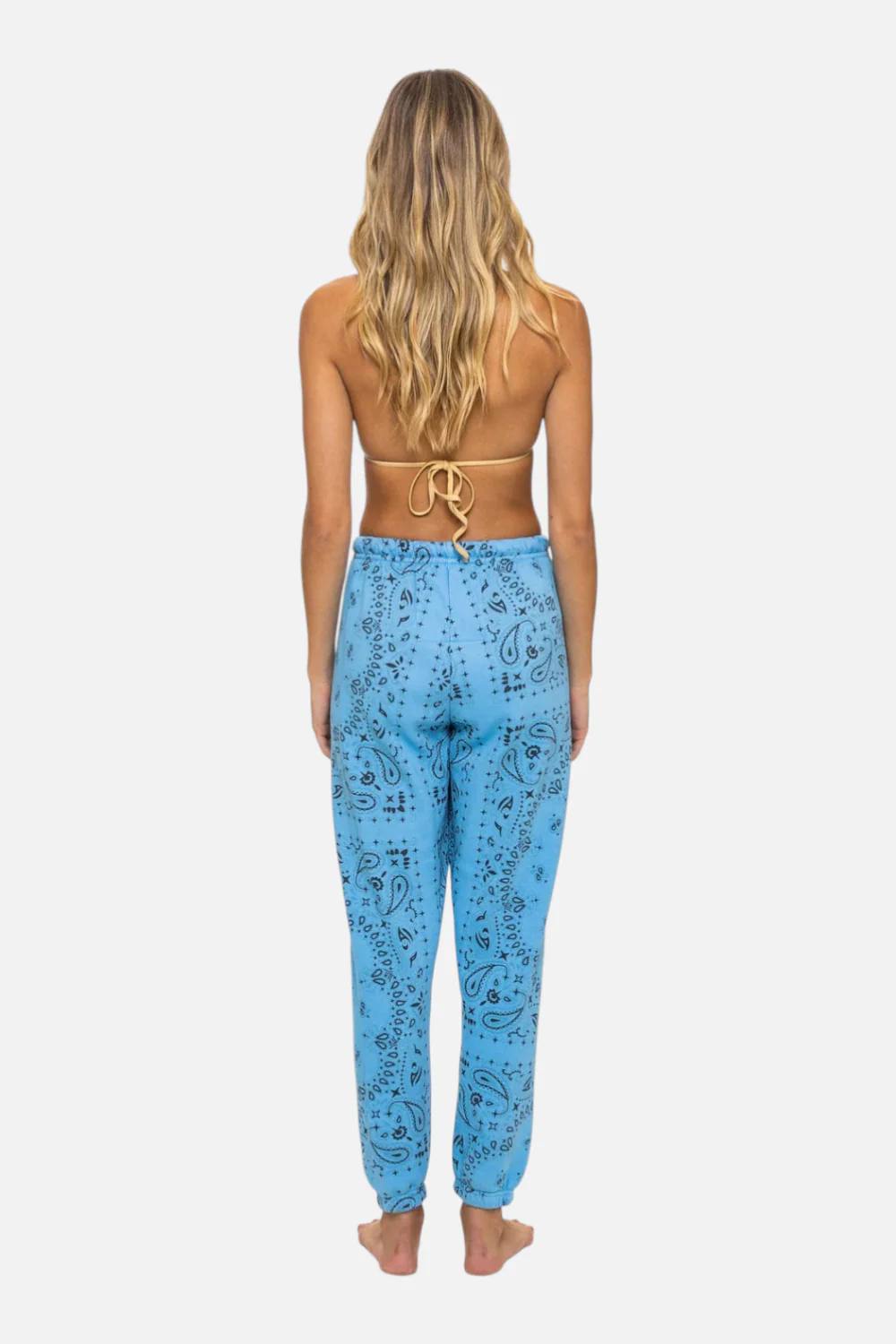 Aviator Nation Bandana Sweatpant in Sky - Image 2