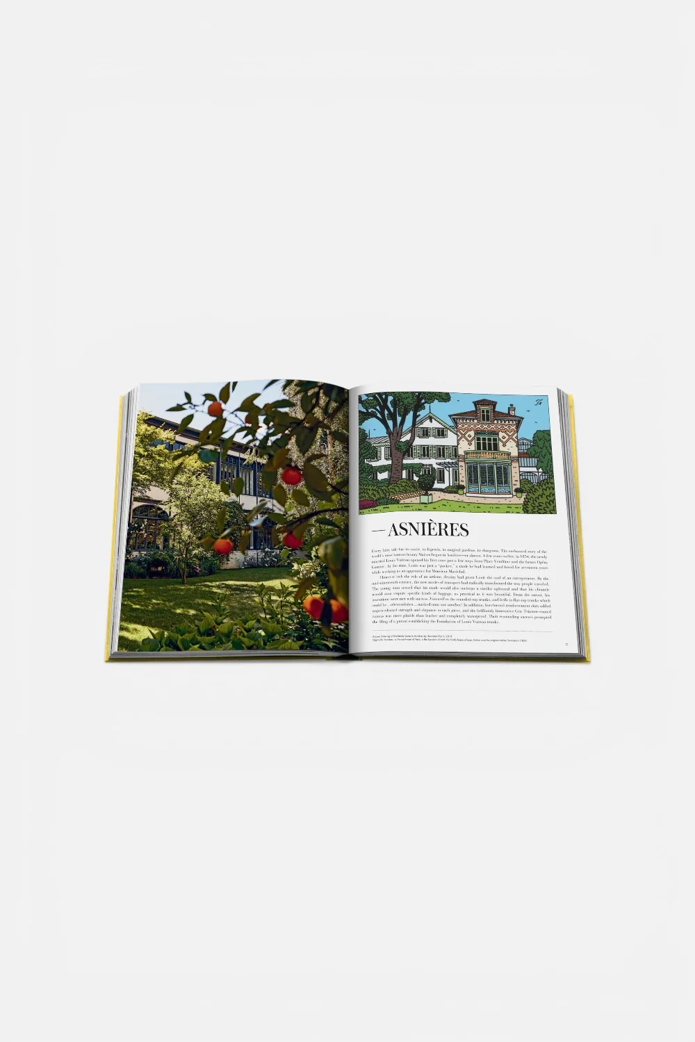 From Louis To Vuitton Print Book - Image 3