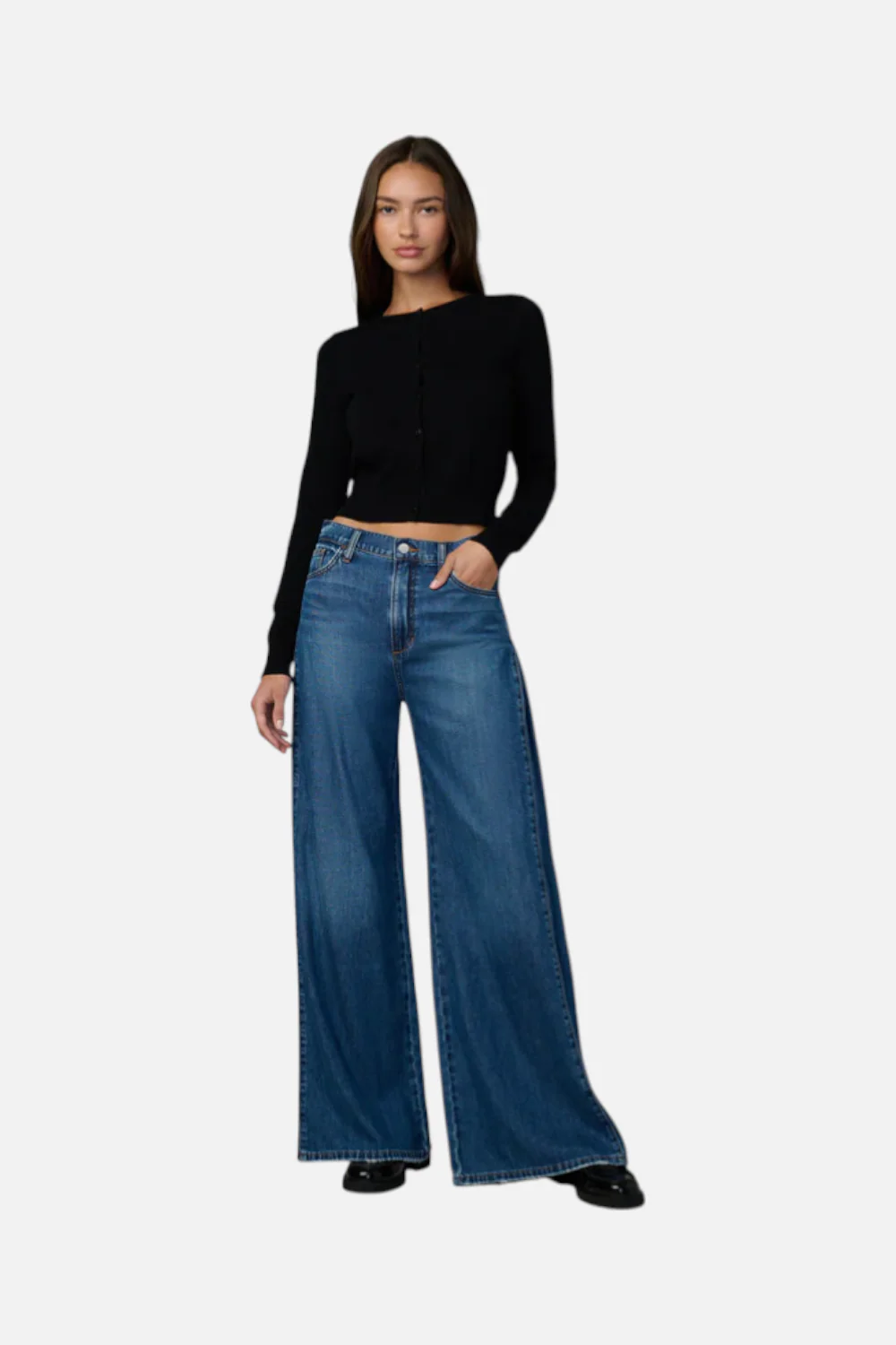 Joes Jeans Women's The Side Pleat Jean in Cherished