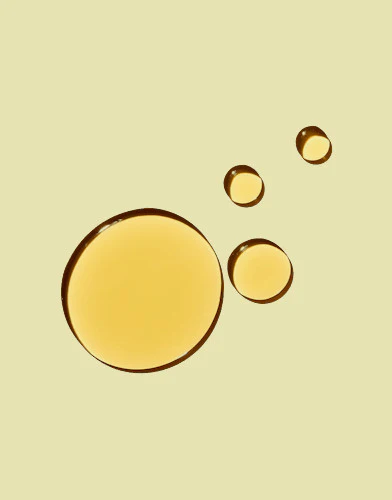 Osea Undaria Algae Body Oil - 5 Oz - Image 2